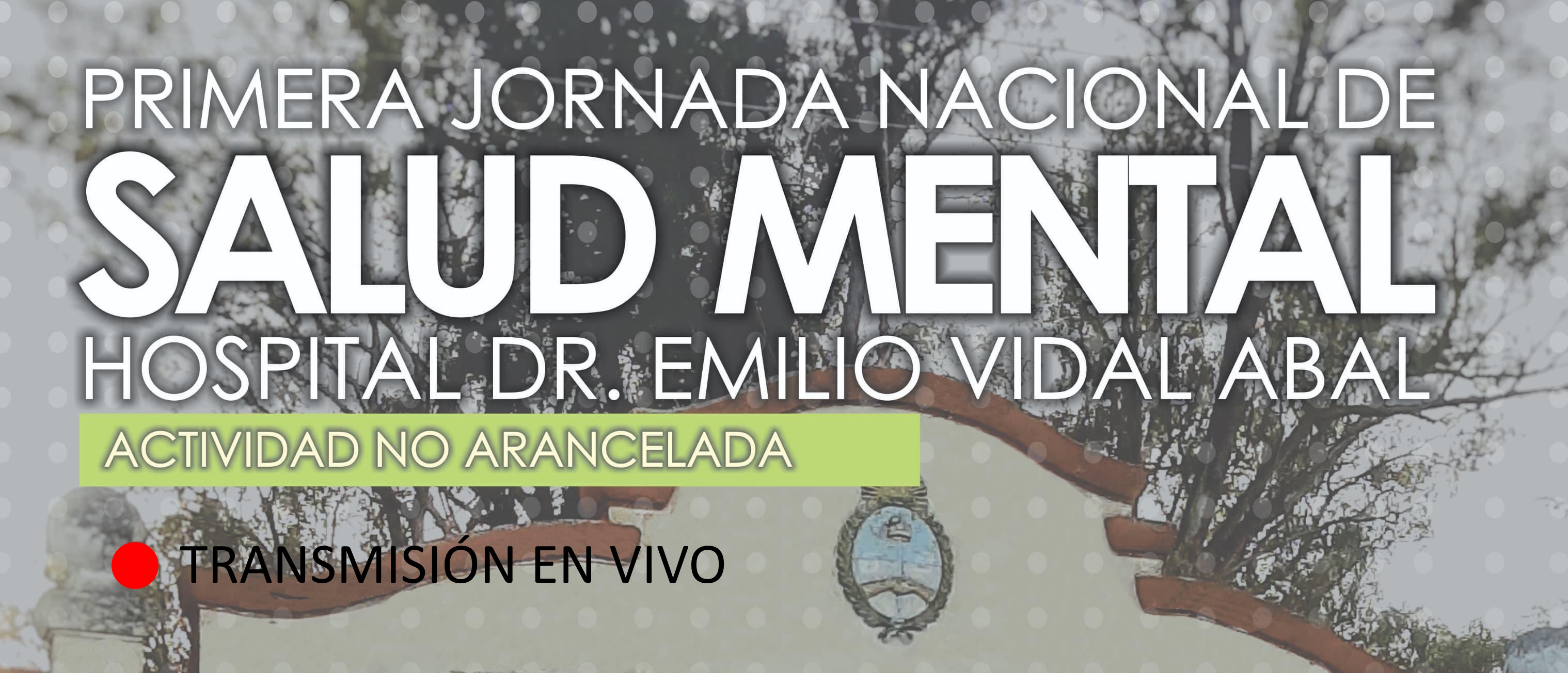 Imagen emergente